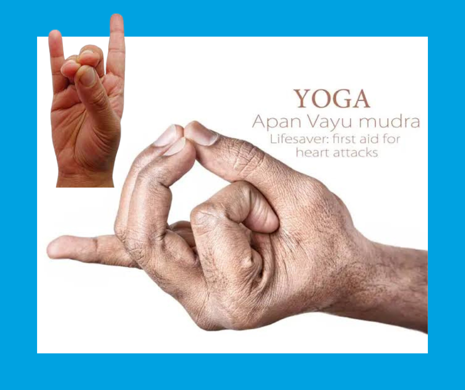 Apana Vayu Mudra - yoga