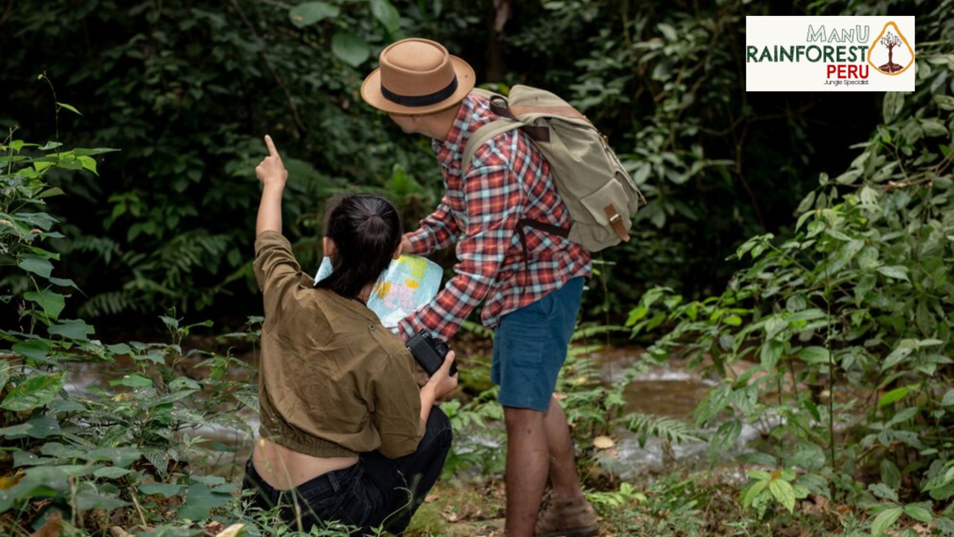 Why Manu National Park Tours from Cusco Are a Must-Do Adventure