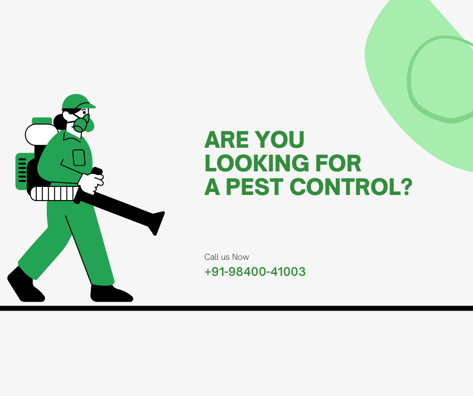 Pest Control Services in India: Protect Your Home and Health with Professional Help