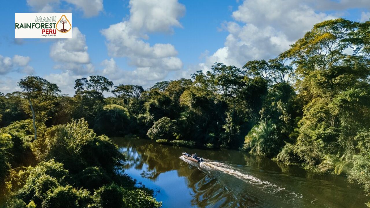 Exploring the Peruvian Amazon: Top Destinations and Experiences