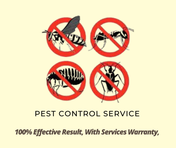 PEST CHECK SYSTEMS, CHENNAI,  Pest Control Chennai,  Termite Control Chennai, Crawling Insects Chennai,Bed Bugs Chennai, Post Construction Anti-Termite Treatment, Pre-Construction Anti-Termite Treat