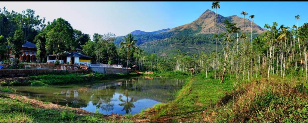 Jungle Valley Resort Puzhamoola Meppadi wayanad Nearest Airport Is Calicut International Airport